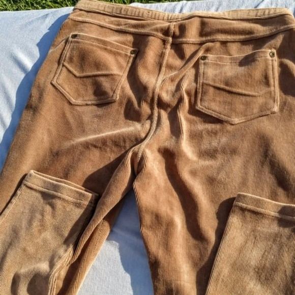 intro. Casual Elegance leggings Sz LP - Picture 2 of 13